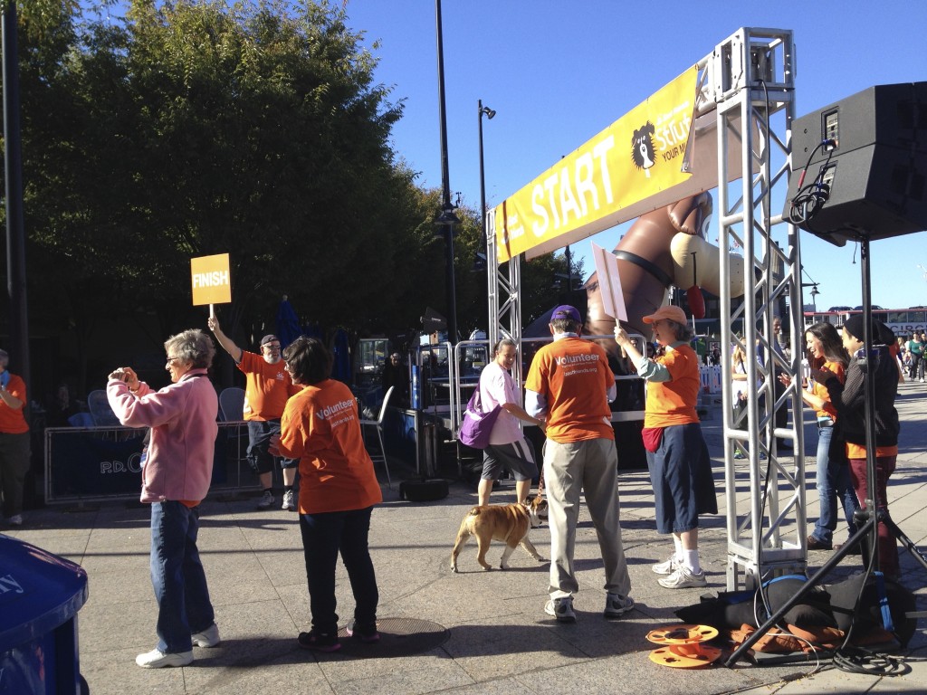 Volunteers applauded as each dog and owner passed the “Finish” banner.