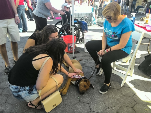  Two women stroke a dog at the Posh Pets Rescue stand in Union square.