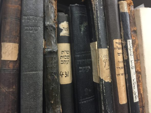 Just a few of the several hundred thousand books in YIVO's archives. Photo: David Klein