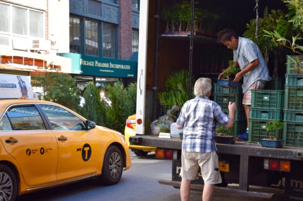 Ched Markovic, the owner of Noble Plants on 28th Street, receives a delivery of plants on the curb of the busy road. Photo: Joseph Flaherty.