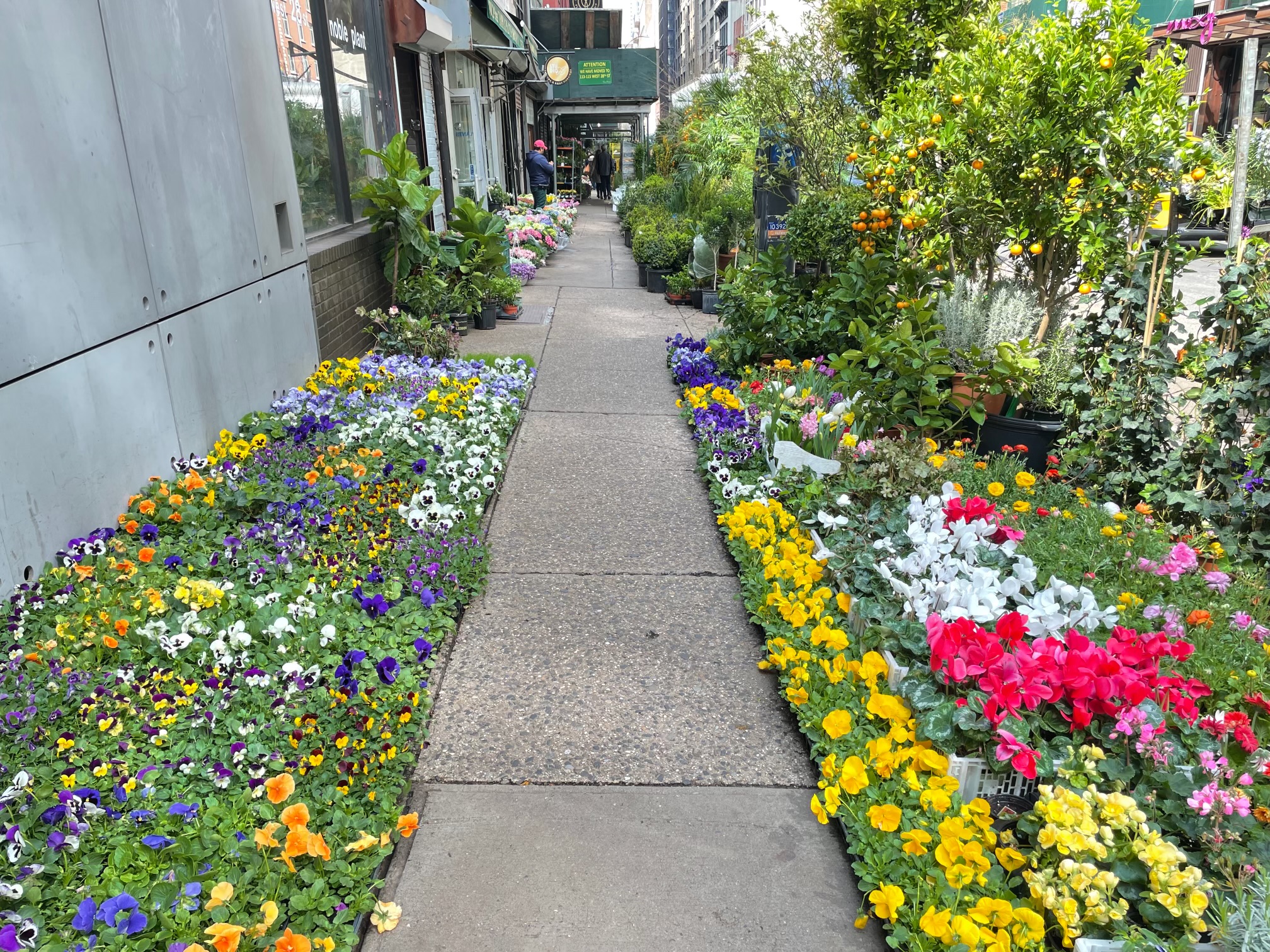 Floral District Hit by Inflation Amid Pandemic Recovery