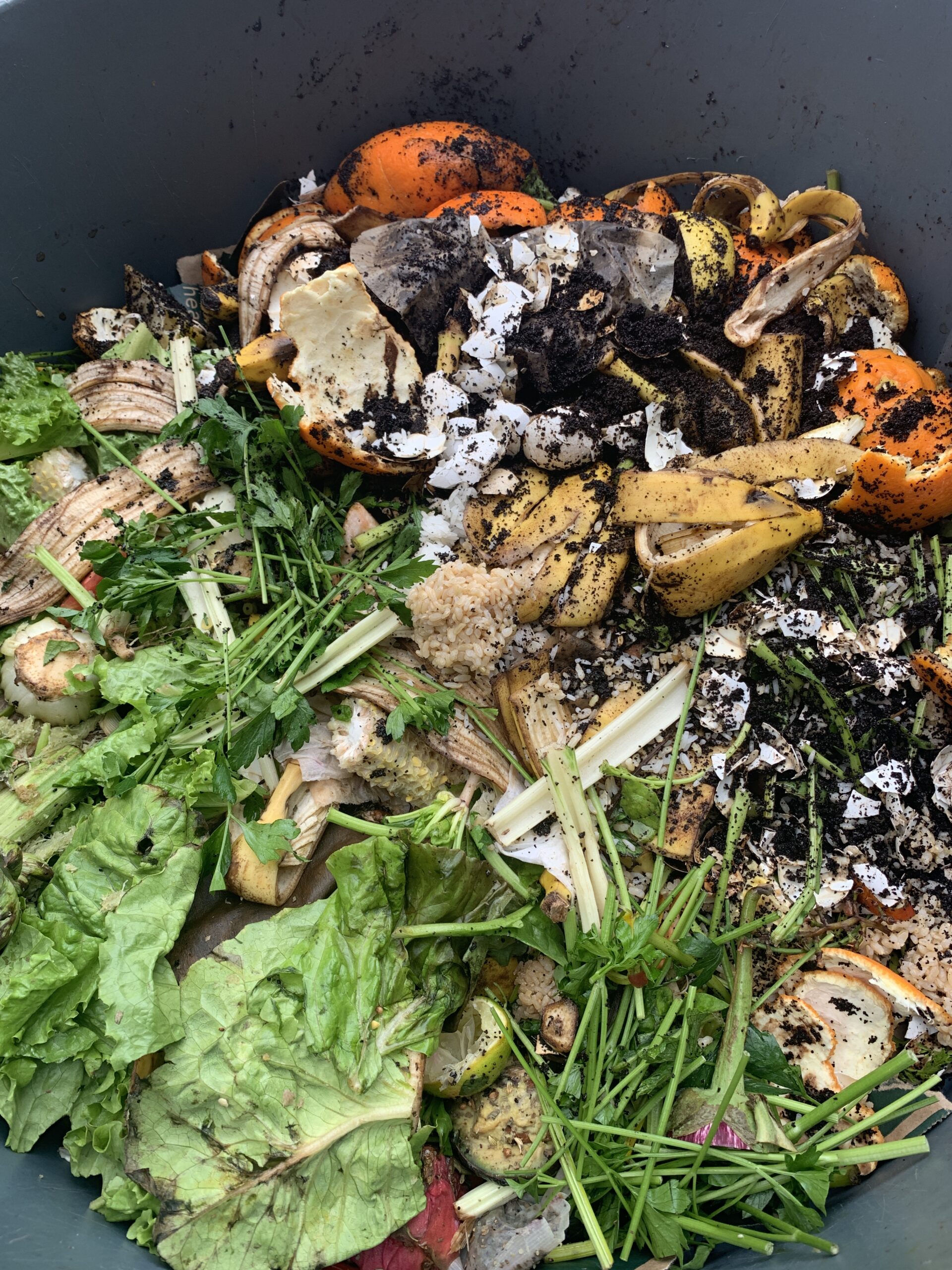 Food waste experts convene in New York City