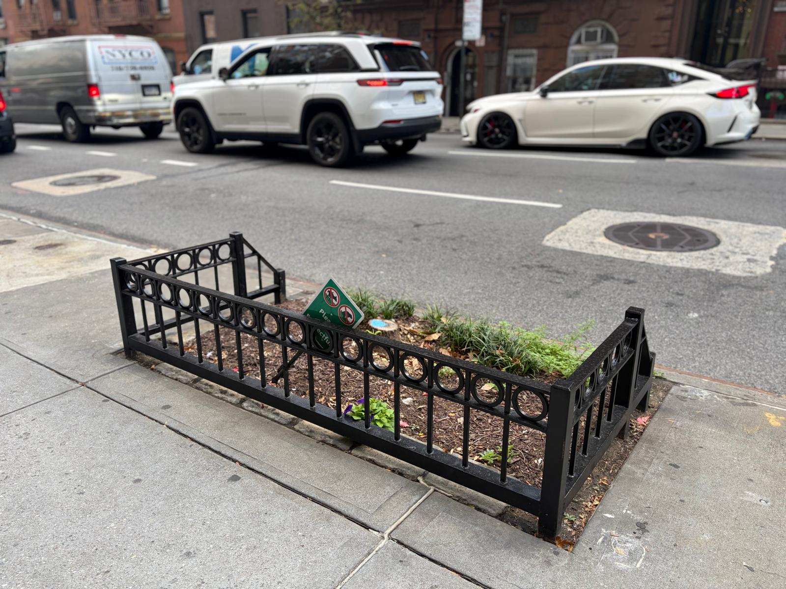 Midtown has few trees and no easy way to get more